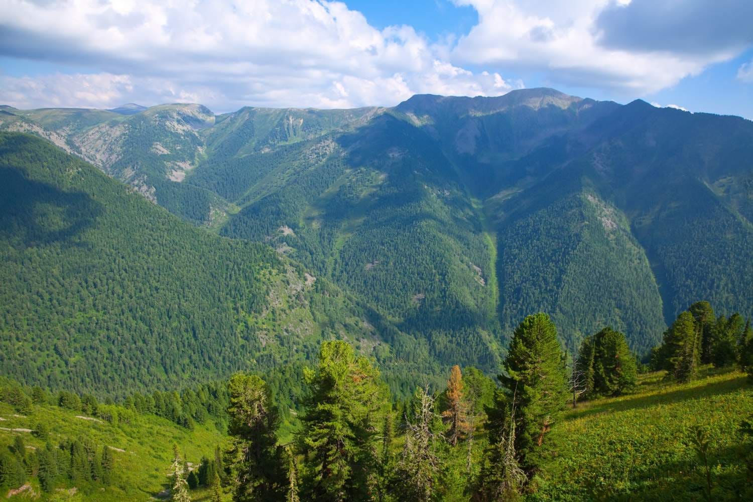 Almaty Express photo 2