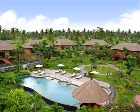 The Safari Lodge photo 2