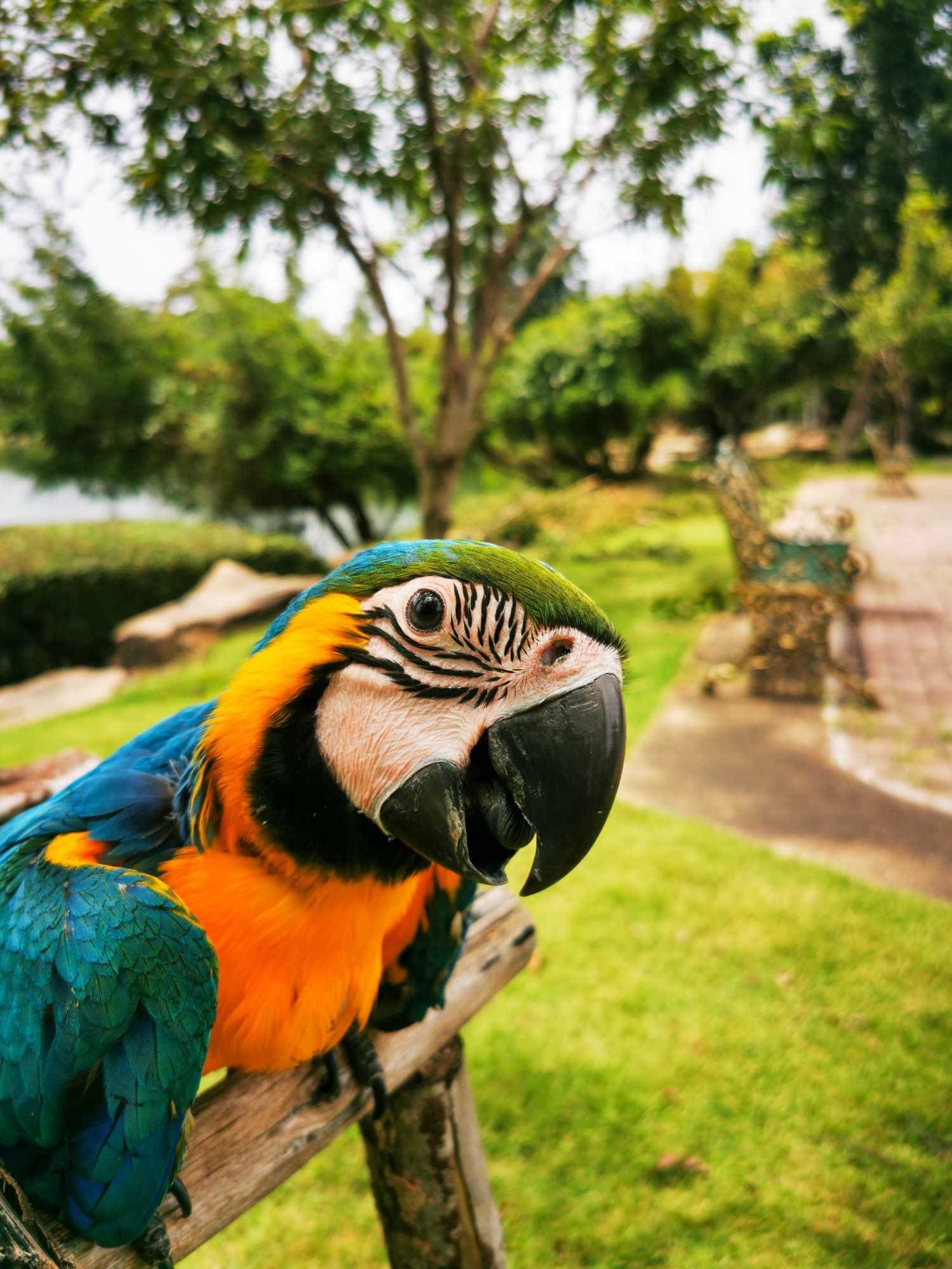 KL Water & Wildlife Fun photo 2