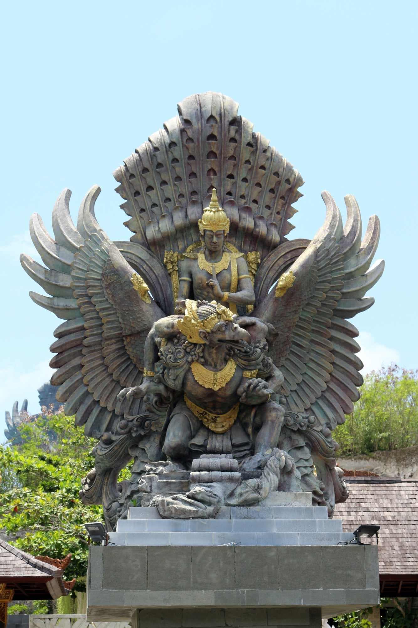 Bali Wildlife photo 2