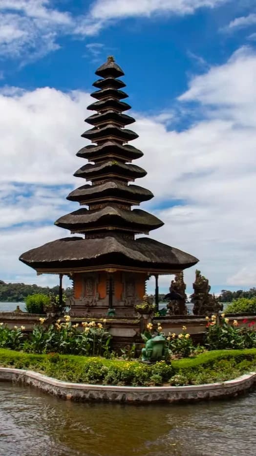 Bali Wildlife photo 6