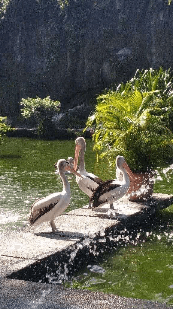 KL Water & Wildlife Fun photo 2